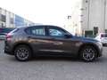 Alfa Romeo Stelvio 2.0 Executive Q4 Aut. 200 Gris - thumbnail 12