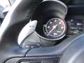 Alfa Romeo Stelvio 2.0 Executive Q4 Aut. 200 Gris - thumbnail 24