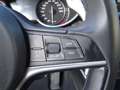 Alfa Romeo Stelvio 2.0 Executive Q4 Aut. 200 Gris - thumbnail 23
