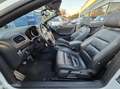Volkswagen Golf Cabriolet 1.4 TSI 160PK Highline Leder/Nav/Xen Weiß - thumbnail 10