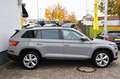 Skoda Kodiaq Tour ACC Kamera Navi AHK Lnkrdhzg ParkAss Grau - thumbnail 6