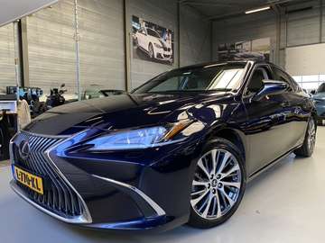 300h Business Line Camera, Carplay, Schuifdak