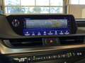 Lexus ES 300 300h Business Line Camera, Carplay, Schuifdak Blu/Azzurro - thumbnail 35