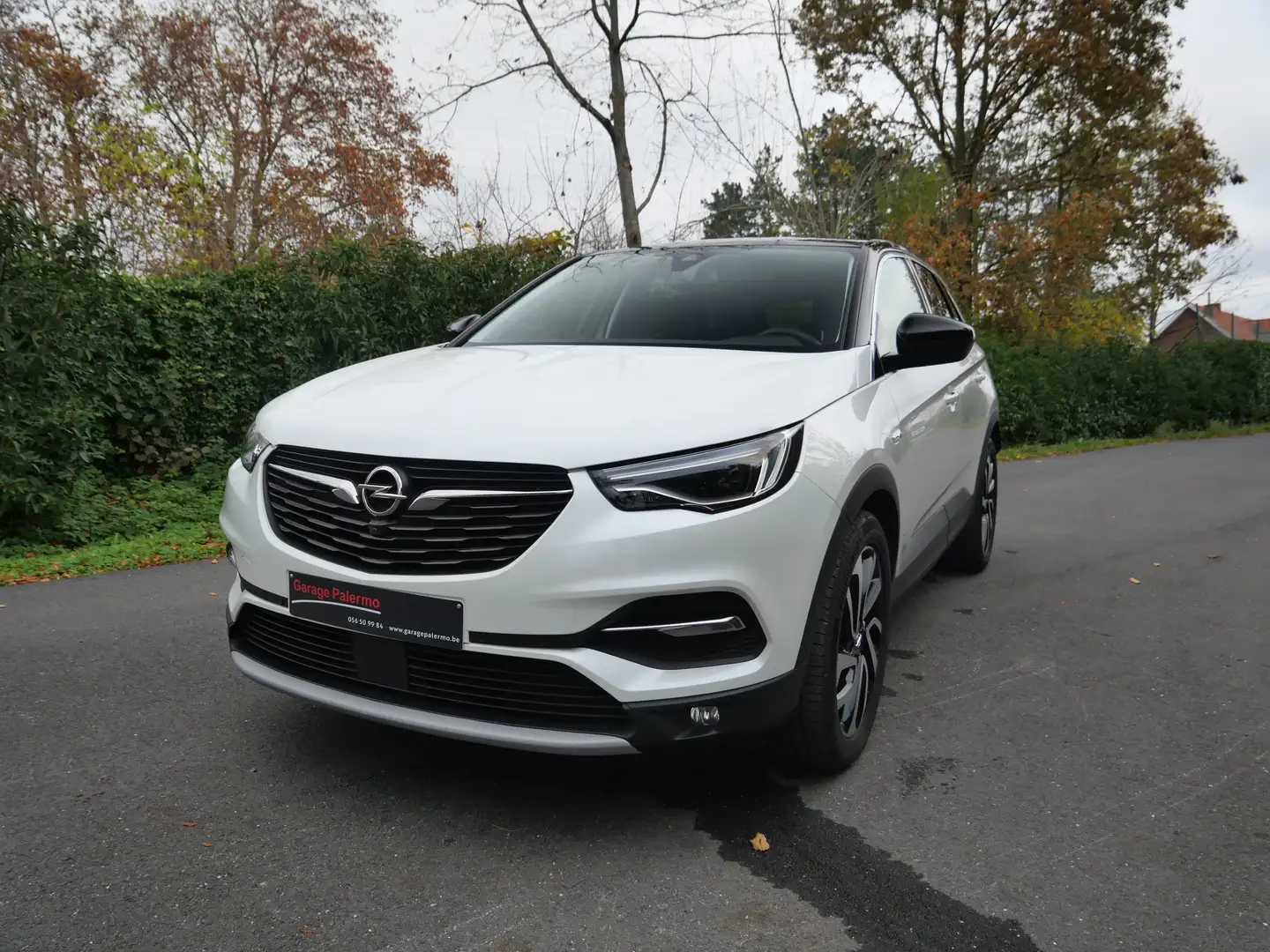 Opel Grandland X Grandland X 1.6 Start/Stop Automatik Ultimate Wit - 2