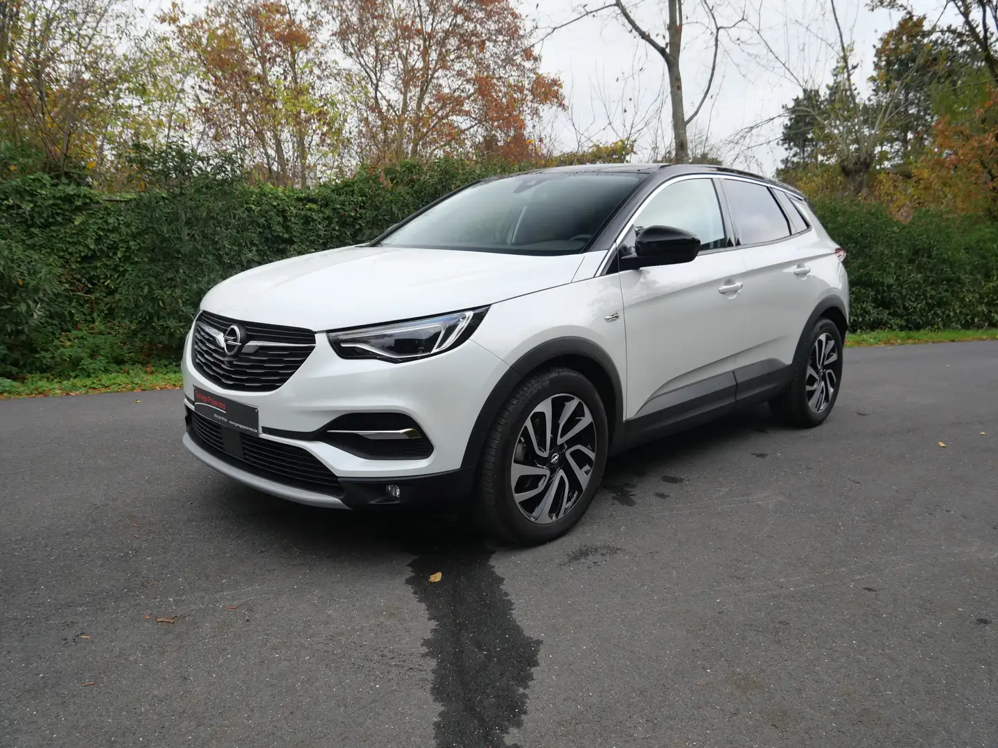Opel Grandland X Grandland X 1.6 Start/Stop Automatik Ultimate Wit - 1