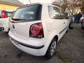 Volkswagen Polo Polo IV 2005 3p 1.2 United 60cv - thumbnail 6