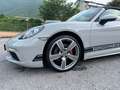 Porsche Boxster 718 Boxster   2019 2.0 300cv pdk GESSO - PERLA Gris - thumbnail 2