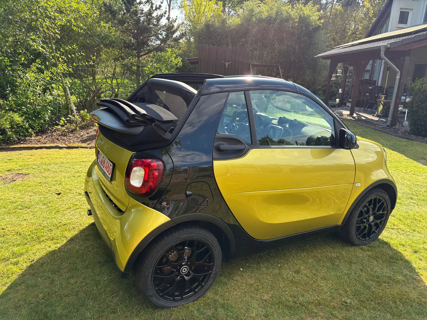 smart forTwo smart fortwo cabrio cabrio twinamic passion Gold - 2