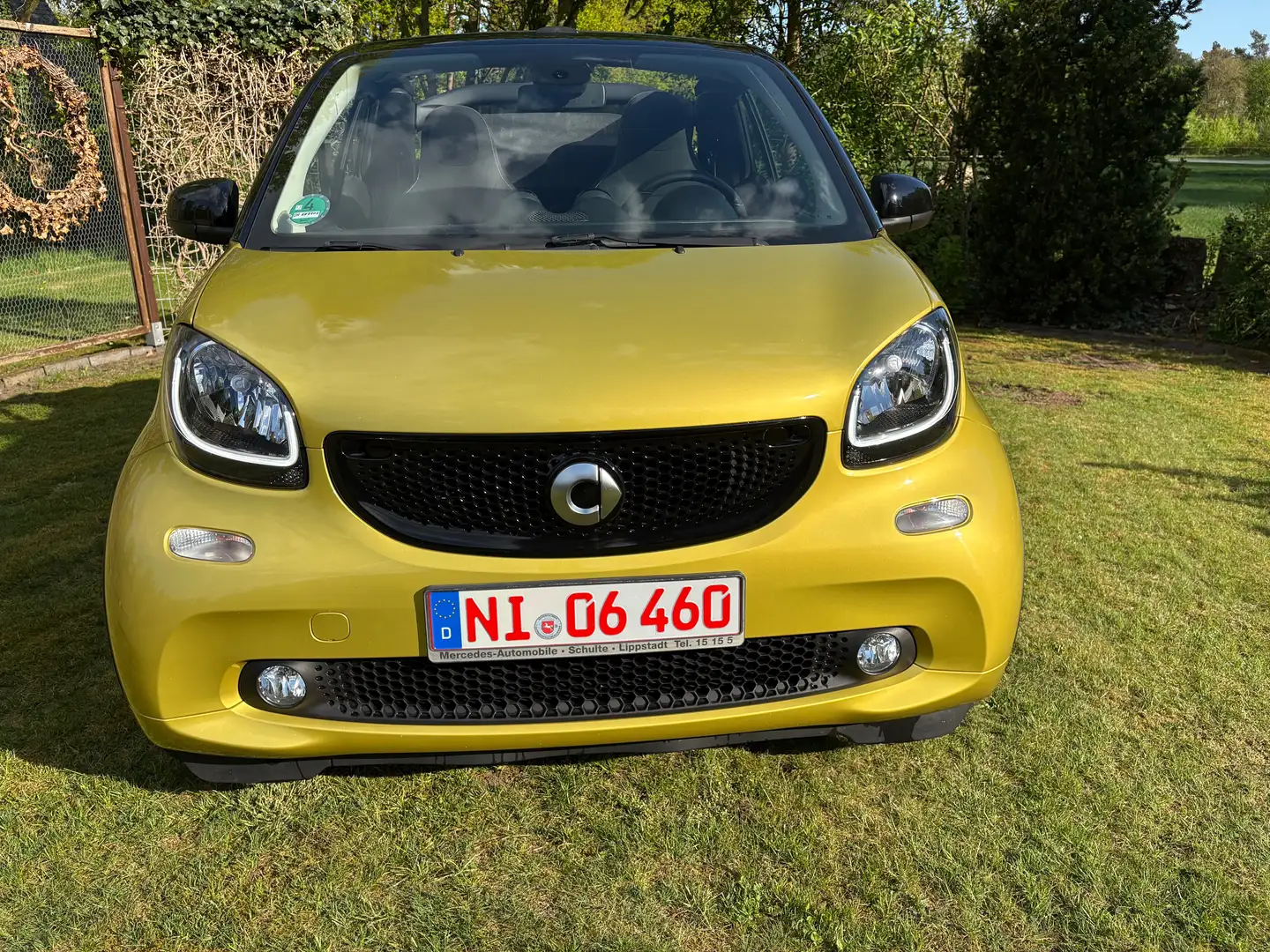 smart forTwo smart fortwo cabrio cabrio twinamic passion Gold - 1