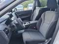 Nissan X-Trail 1,5 VC-T e-Power 4x4 Allrad N-Connecta*ab € 38.... Weiß - thumbnail 8