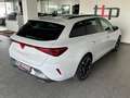 CUPRA Leon ST 1.5 TSI FACELIFT 5-JAHRE-GARANTIE ACC Weiß - thumbnail 6