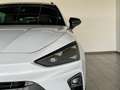 CUPRA Leon ST 1.5 TSI FACELIFT 5-JAHRE-GARANTIE ACC Weiß - thumbnail 3