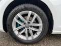 Volkswagen Golf 2.0 TDI DSG Weiß - thumbnail 13