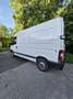 Nissan Interstar Bus L1H1 3,2t kz. 2,5 dCi - thumbnail 13