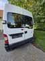 Nissan Interstar Bus L1H1 3,2t kz. 2,5 dCi - thumbnail 12
