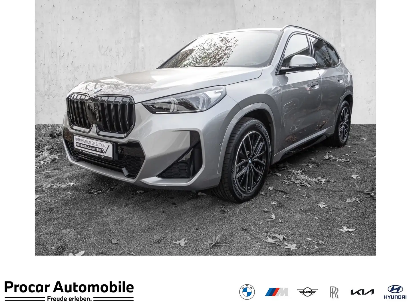 BMW X1 sDrive20i M Sport Aut. PANO AHK RFK NAVI LED DAB Gris - 1