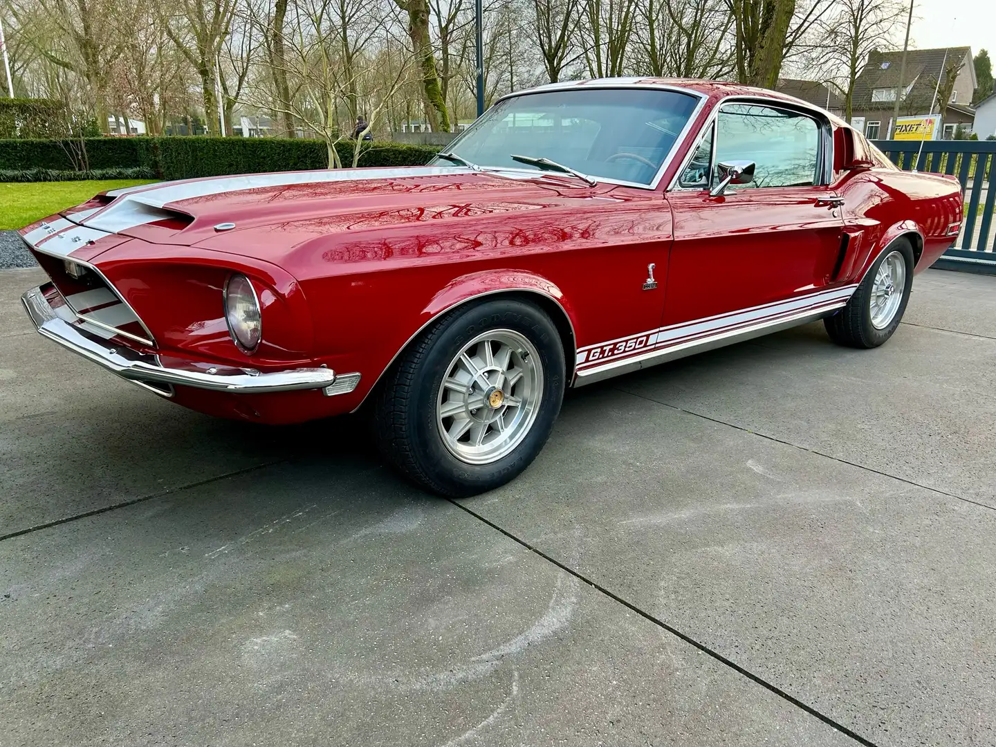 Shelby GT350 4 Speed Candy Apple Red Rood - 1