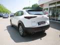 Mazda CX-30 e-SKYACTIV X Exclusive-Line ACC HUD LED Weiß - thumbnail 6