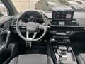 Audi Q5 Q5 40 TDI 204 CV quattro S tronic Business Grün - thumbnail 10