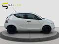 Lancia Ypsilon 1.2 Benzina 69 cv Elefantino Blu 2019 Bianco - thumbnail 5