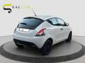 Lancia Ypsilon 1.2 Benzina 69 cv Elefantino Blu 2019 Bianco - thumbnail 6