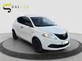Lancia Ypsilon 1.2 Benzina 69 cv Elefantino Blu 2019 Bianco - thumbnail 3