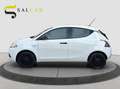 Lancia Ypsilon 1.2 Benzina 69 cv Elefantino Blu 2019 Bianco - thumbnail 7