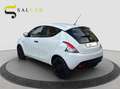 Lancia Ypsilon 1.2 Benzina 69 cv Elefantino Blu 2019 Bianco - thumbnail 4