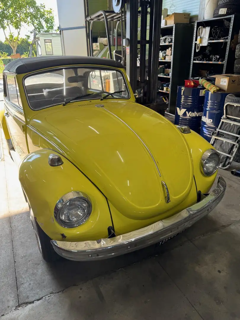 Volkswagen Maggiolino Giallo - 1