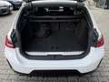BMW 330 e Touring M Sportpaket Stop&Go FACLIFT Weiß - thumbnail 22