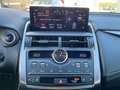 Lexus NX 300 h F Sport 4x4*Pano*4xSHZ*Navi*HUD*ACC*360 Nero - thumbnail 15