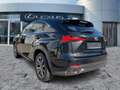 Lexus NX 300 h F Sport LED+Navi+Pano+SD+SHZ+4xSHZ Zwart - thumbnail 6