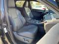 Lexus NX 300 h F Sport 4x4*Pano*4xSHZ*Navi*HUD*ACC*360 Nero - thumbnail 11