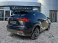 Lexus NX 300 h F Sport 4x4*Pano*4xSHZ*Navi*HUD*ACC*360 Nero - thumbnail 7