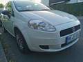 Fiat Punto Punto 1.2 Weiß - thumbnail 4