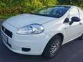 Fiat Punto Punto 1.2 Weiß - thumbnail 1