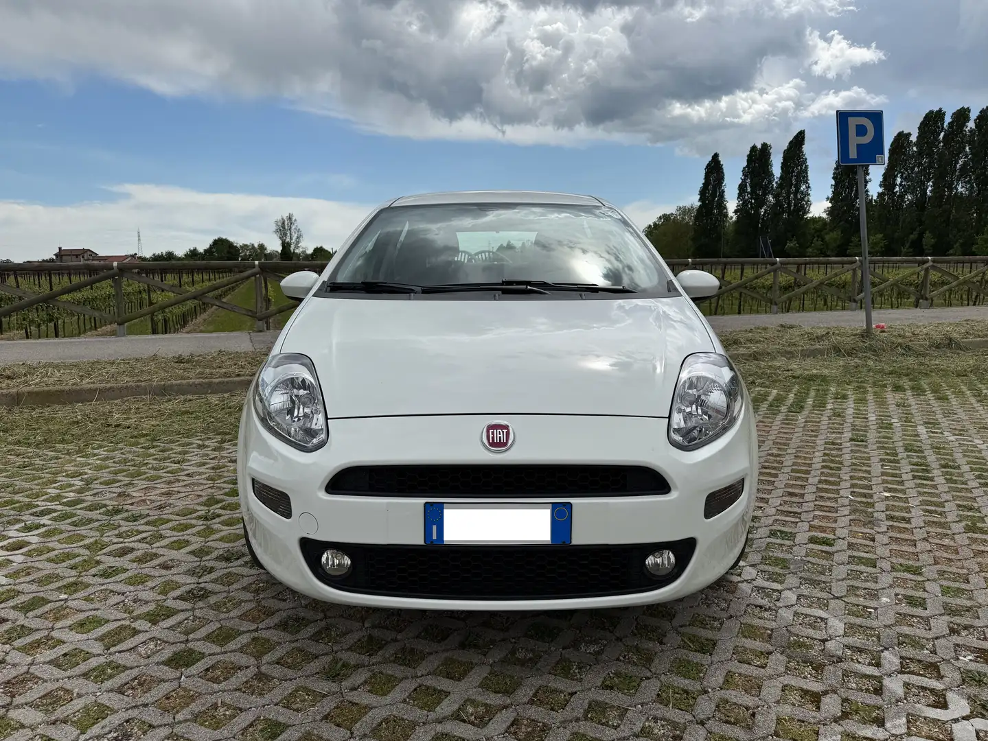 Fiat Punto Punto 5p 1.2 Lounge E6 Bianco - 2