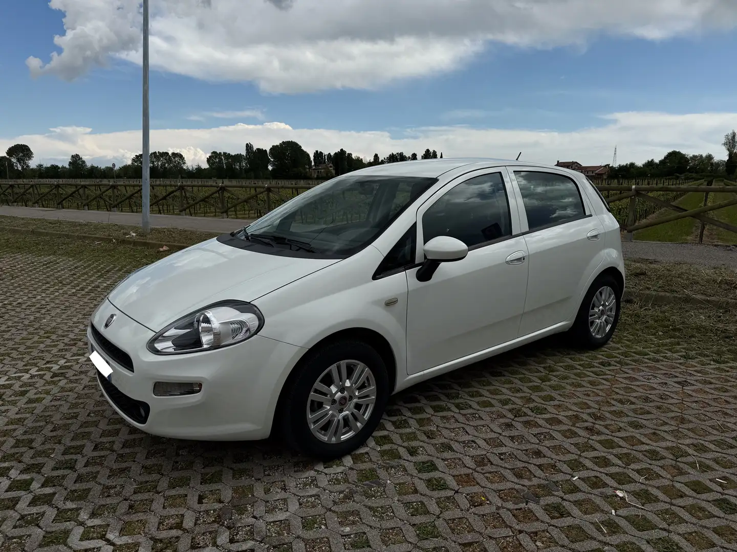 Fiat Punto Punto 5p 1.2 Lounge E6 Bianco - 1