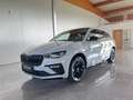 Skoda Scala Monte Carlo TSI Grau - thumbnail 2