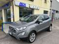 Ford EcoSport EcoSport 1.0 ecoboost Titanium 125cv Argento - thumbnail 1