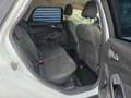 Ford Focus Wagon 1.0 Trend Edition Bianco - thumbnail 13