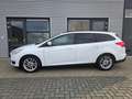 Ford Focus Wagon 1.0 Trend Edition Bianco - thumbnail 2