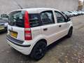 Fiat Panda 1.2 Classic Weiß - thumbnail 4