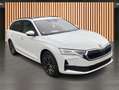 Skoda Octavia 2.0 TDI DSG Selection Tour*HeadUp*Pano Blanco - thumbnail 6