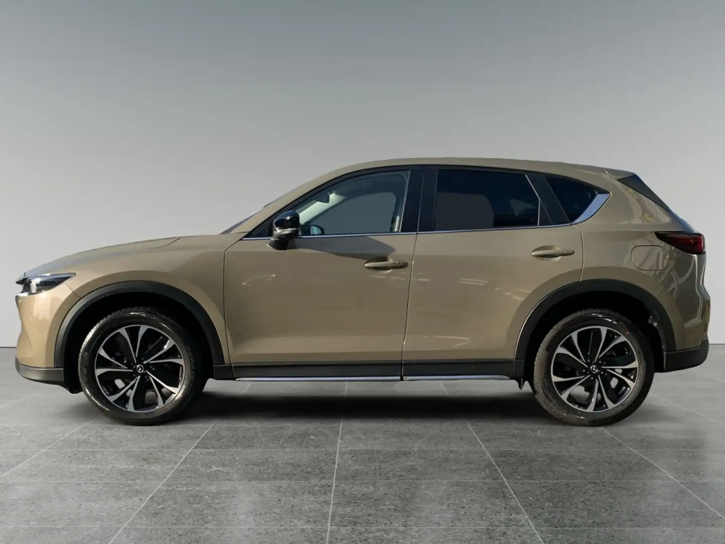 Mazda CX-5 2.2 SKYACTIV-D 184 Newground AWD (EURO 6d)  AUTOMA Beige - 2