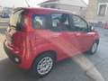 Fiat Panda 1.2 Easy 69cv Rosso - thumbnail 7