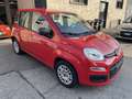 Fiat Panda 1.2 Easy 69cv Rosso - thumbnail 6