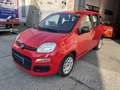 Fiat Panda 1.2 Easy 69cv Rosso - thumbnail 2