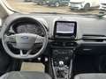 Ford EcoSport ST-Line Xenon-Navi-Schiebedach Weiß - thumbnail 8