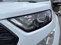 Ford EcoSport ST-Line Xenon-Navi-Schiebedach Weiß - thumbnail 19